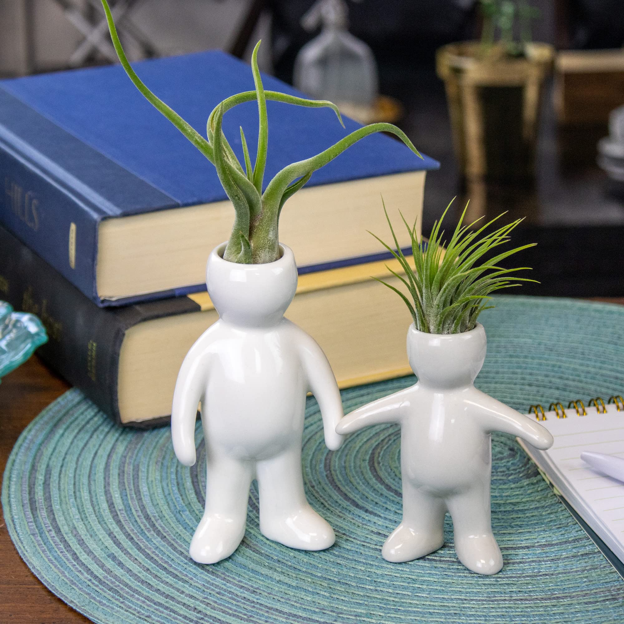 Amazon.com : White Ceramic Father and Son Shaped Planters with Live  Tillandsia - 4.75" and 3.5" Potted Indoor Plants with People and Pet Shaped Air  Plant Holders for Home and Office Decor :