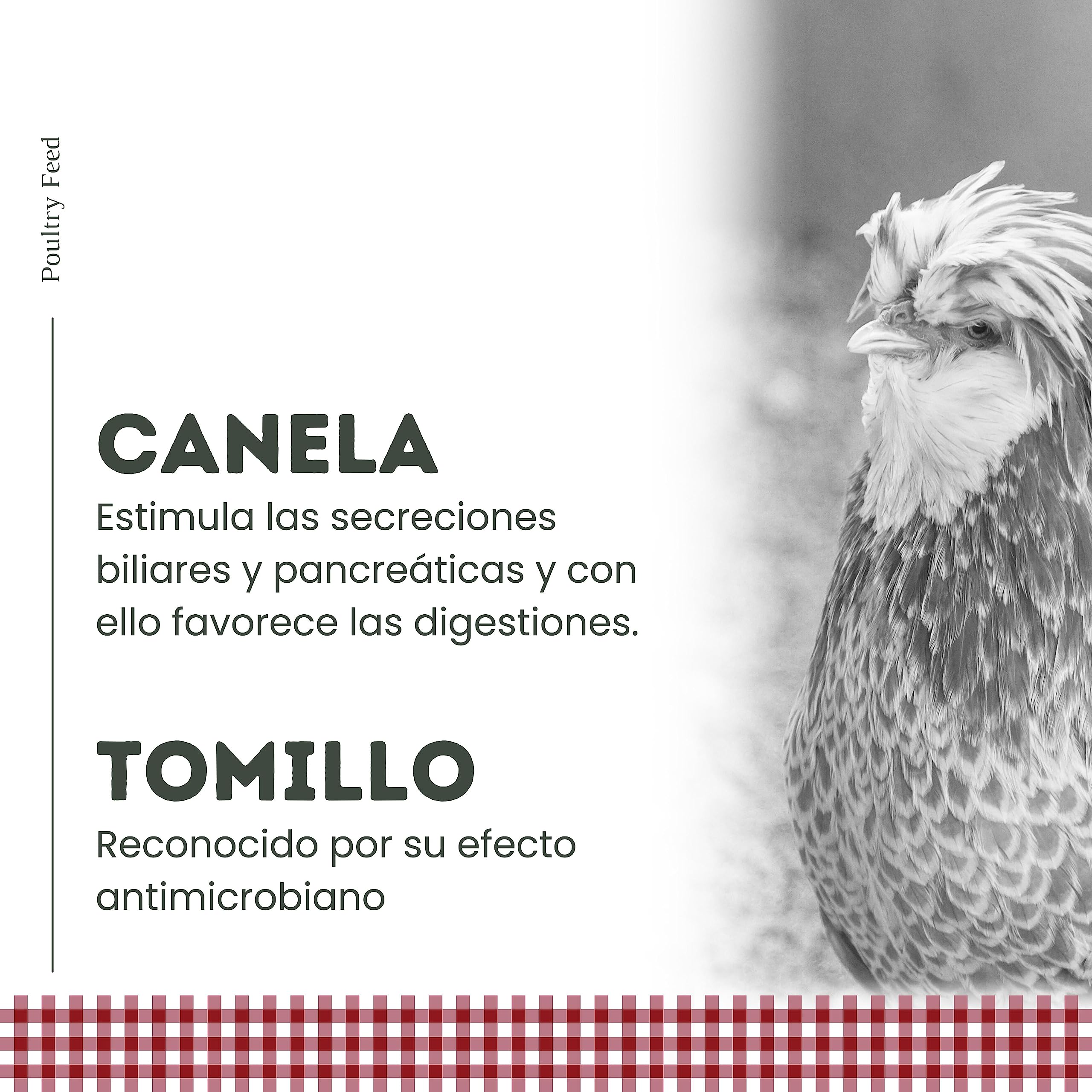 Pienso para Gallinas Ponedoras y Ornamentales | Alimento con Fórmula Exclusiva | Poultry Feed Saco 25 kg | Rico en Proteínas y Grasas Saludables para un Plumaje Vistoso (Pack 6)
