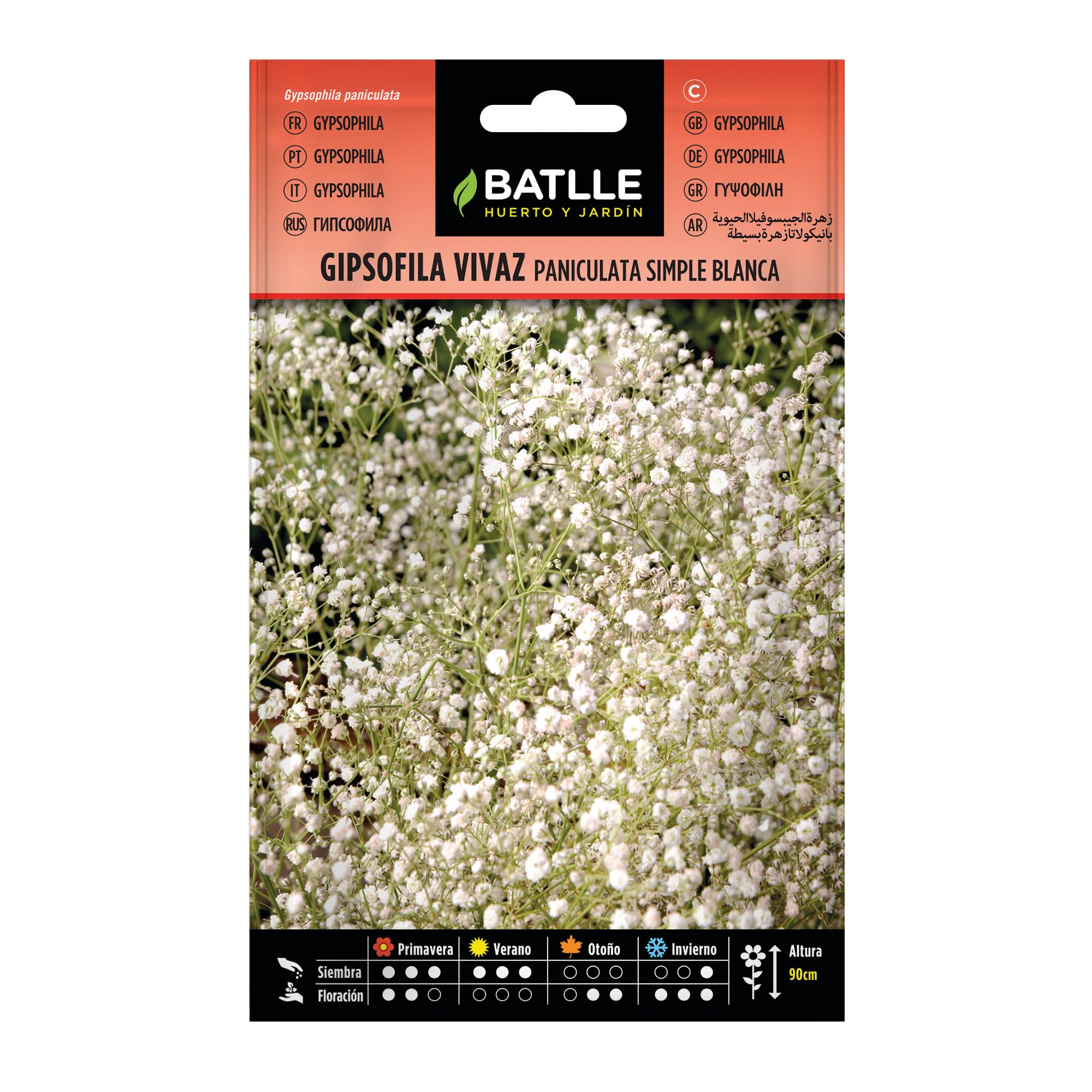 Semillas Batlle Gipsofila vivaz PANICULATA fl.Simple