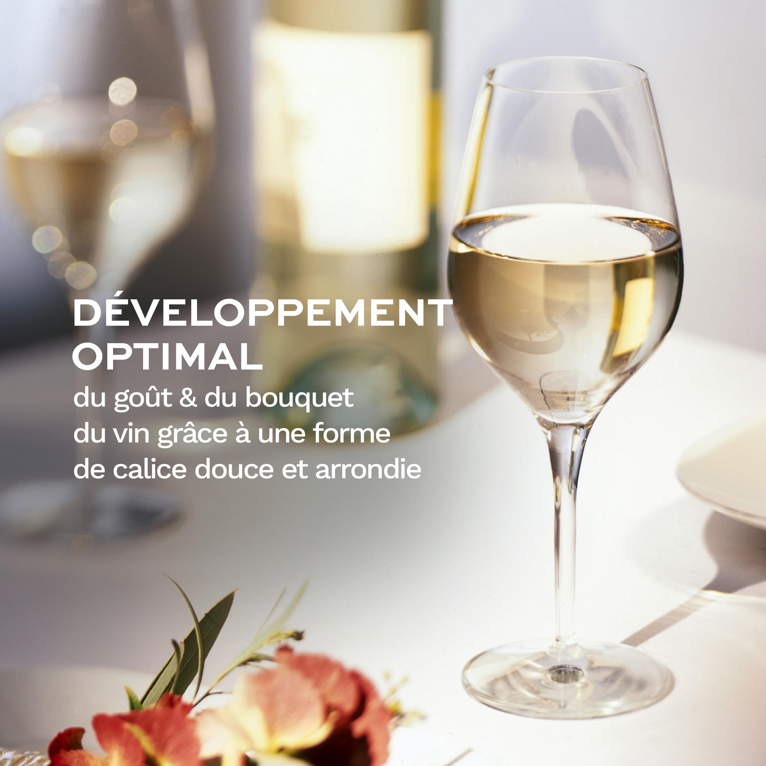 Stölzle Lausitz Verres à Vin Blanc Exquisit Lot de 6 350 ml – Verres en Cristal Haut de Gamme pour Vins Blancs Corsés – Élégants & Durables, Lavables au Lave-Vaisselle, Fabriqués en Allemagne