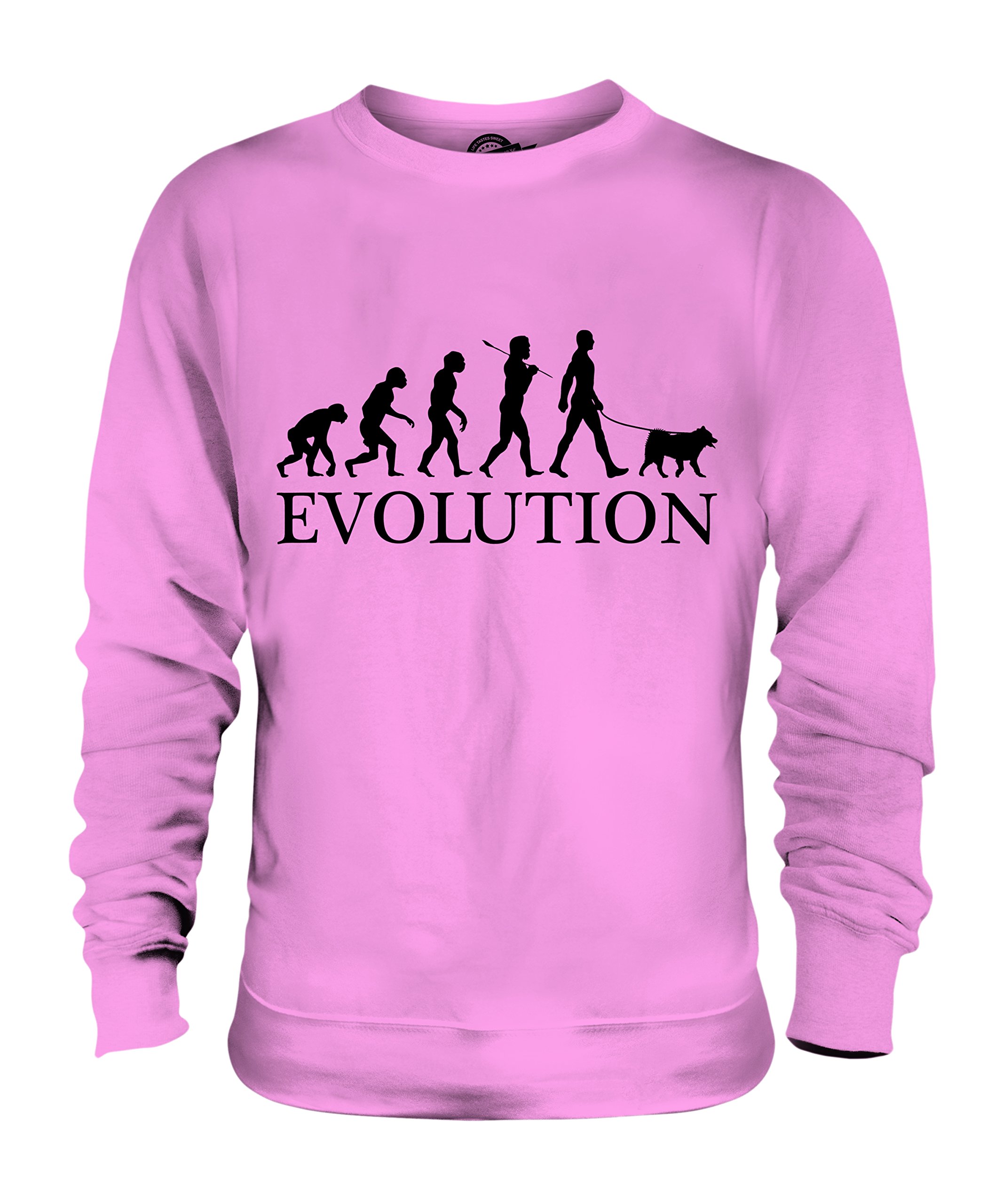 Chien De Canaan Évolution Unisexe Sweat-Shirt : Le cadeau idéal pour passionnés - 3
