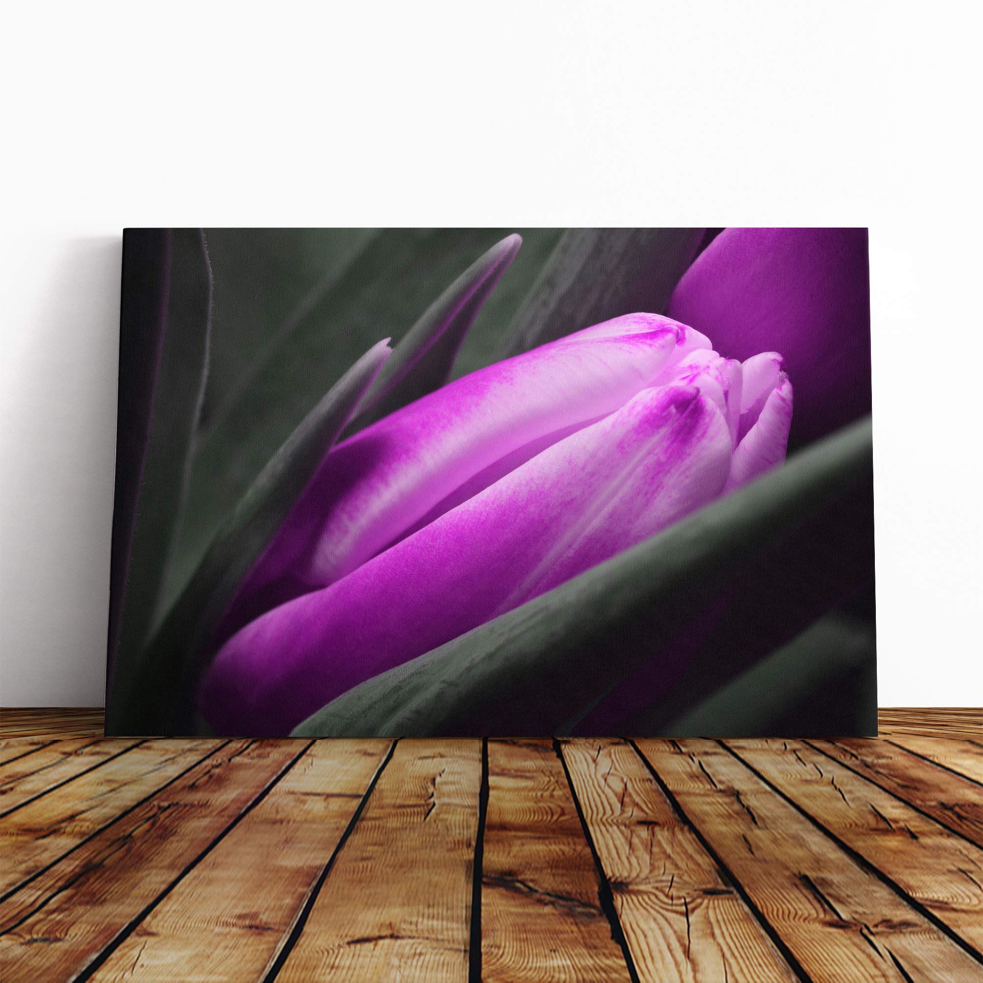 Flower Purple Tulip Canvas Print | Gallery Wrapped 30mm Frame Wall Art | 30x20 inches | Ready to Hang | Modern Floral Picture | Living Room Bedroom Lounge Office