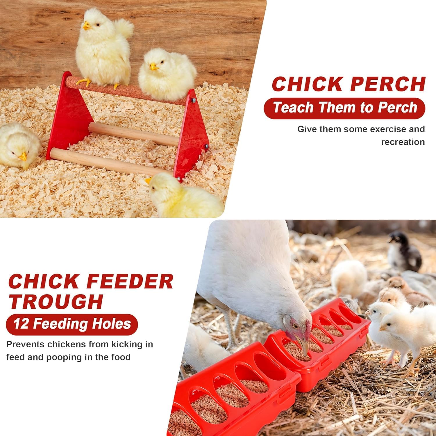 5pcs1kg Hühner Futterautomat und 1 L Hühnertränke im Set,Geflügel Futterautomat und Tränke im Set mit Hühner-Sitzstange, Für kleines Geflügel wie Wachteln, Tauben, Gänsen sowie deren Daunen usw.