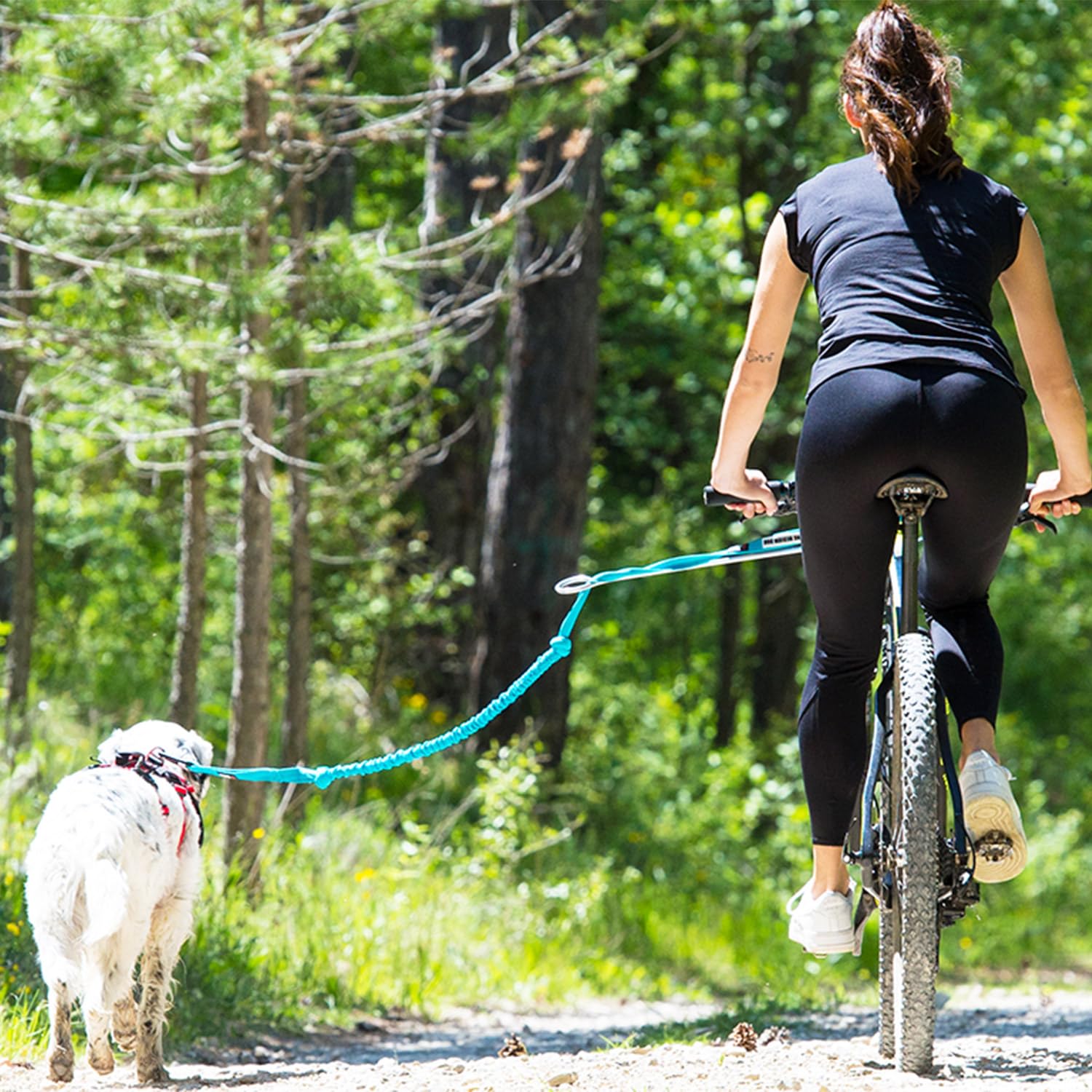 Barre VTT Link Gamme ALM déport 50cm (Roue Jusqu'à 29 Pouces) Barre VTT pour LA Pratique du CANI VTT ET DE LA CANI Trottinette.