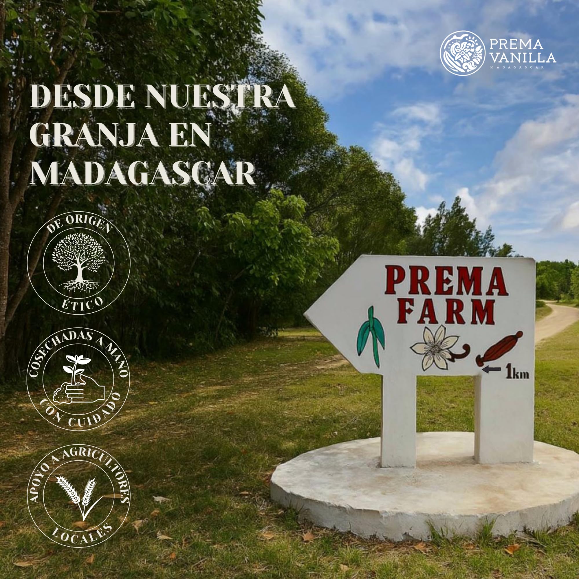 PREMA VANILLA Vainas de Vainilla de Madagascar, Vainas Bourbon de Grado A para la Elaboración de Extracto de Vainilla, Ideales para Cocinar y Hornear, 1 Paquete de 6 Vainas