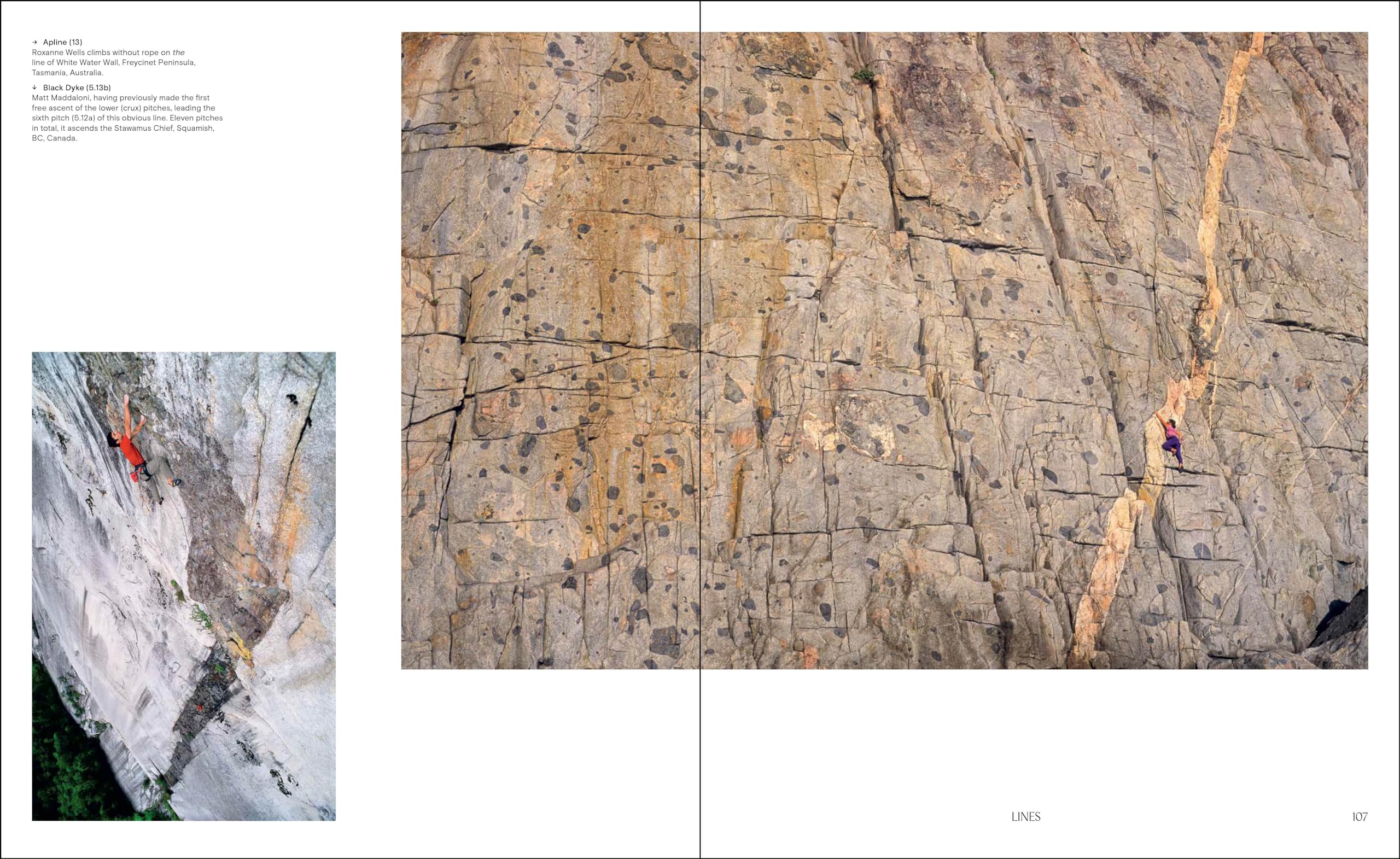 The Art of Climbing /anglais