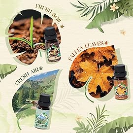 Soulorigin Woodland Fragrance Oils Set, Essential Oil Gift Set for Diffuser, Woody Scent Diffuser Oil, Diffuser Scents Oil for Home - Forest Pine, Teak, Bamboo, Fresh Soil, Fallen Leaves, Fresh Air
