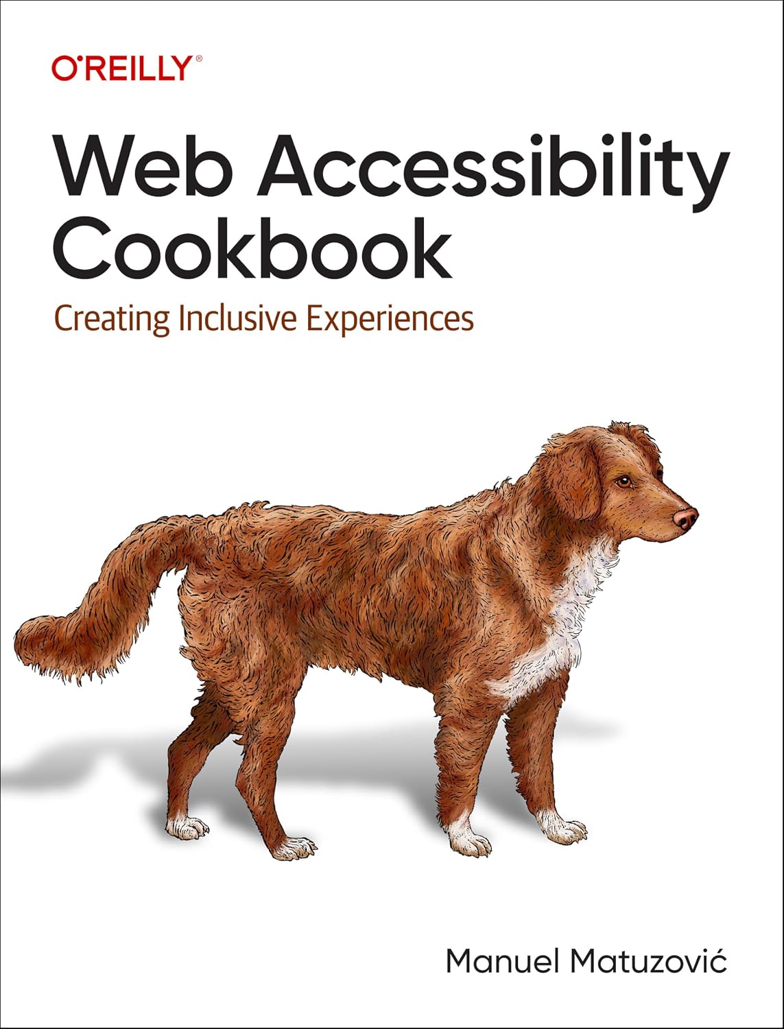 Web design Showdown: CSS vs Accessibility Tools (2023 vs 2024)