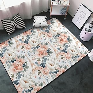 Area Rugs for Living Room Decor - Anti Slip Throw Washable Rugs 3x5, Indoor Soft Flower Blueberry Eiffel Tower Print Carpet for Bedroom/Living/Room/Dining 60x39 Inch