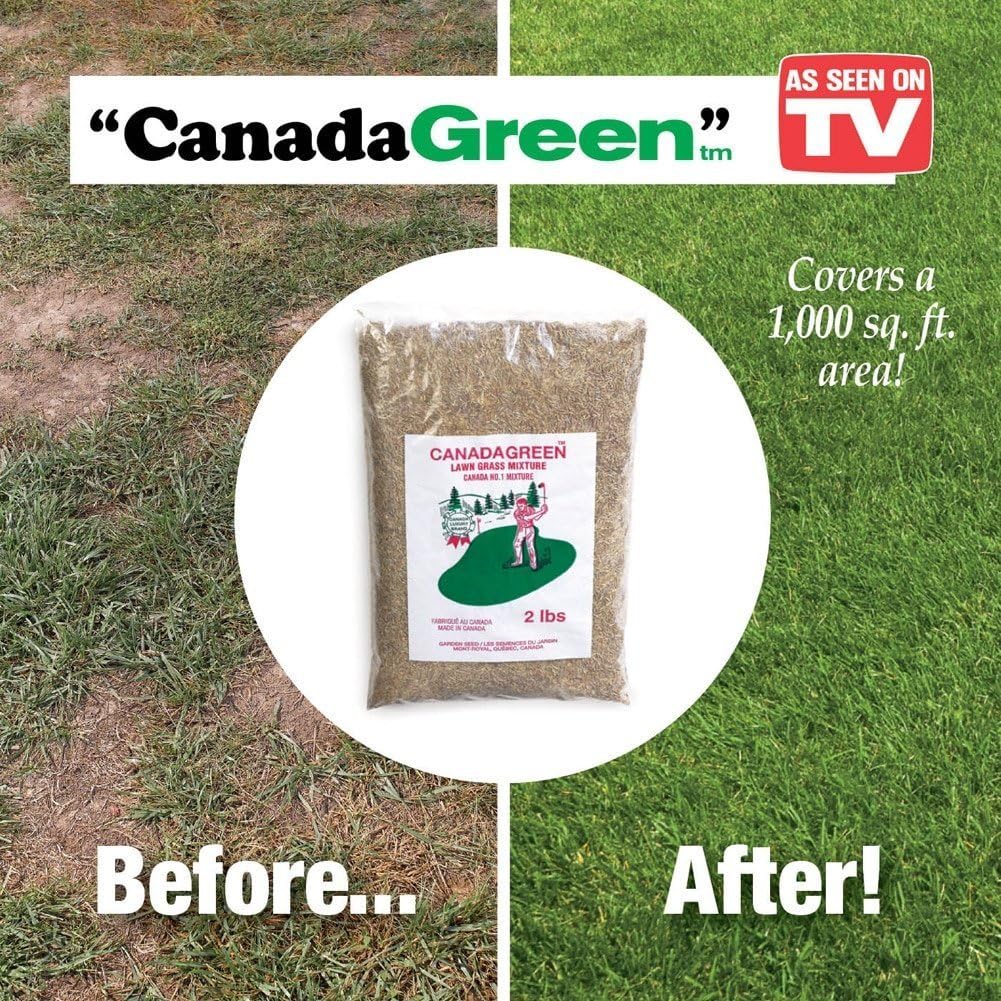 Canada Green Grass Seed - 6 Pound Bag