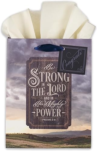 Miniatura 40 de Juego de bolsa de regalo/papel de seda de Christian Art Gifts para mamás "I Love That You're My Mom", rosa, mediano