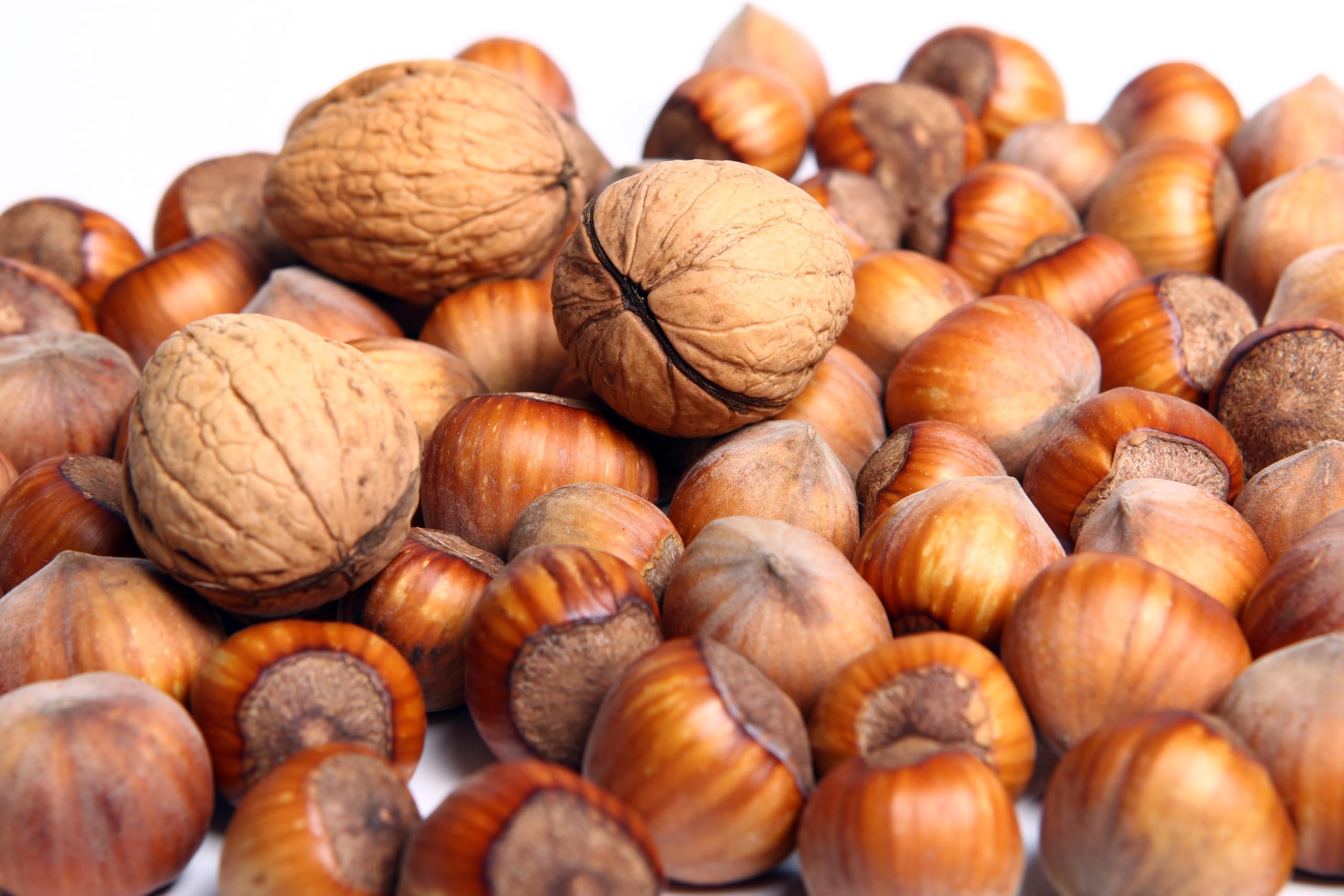 Natural Food – Nueces y Avellanas con Cáscara – 2 x 5 kg – Surtido de Frutos Secos, Tamaño Grande – Deliciosos Frutos Secos para Snacks, Postres, Muesli y Repostería