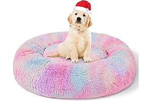 Patas Lague Dog Bed - Calming and Colorful