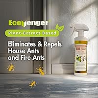 Vista 4 de EcoRaider insecticida y hormiguicida (aroma de cítricos) de 16 oz, natural y no tóxico