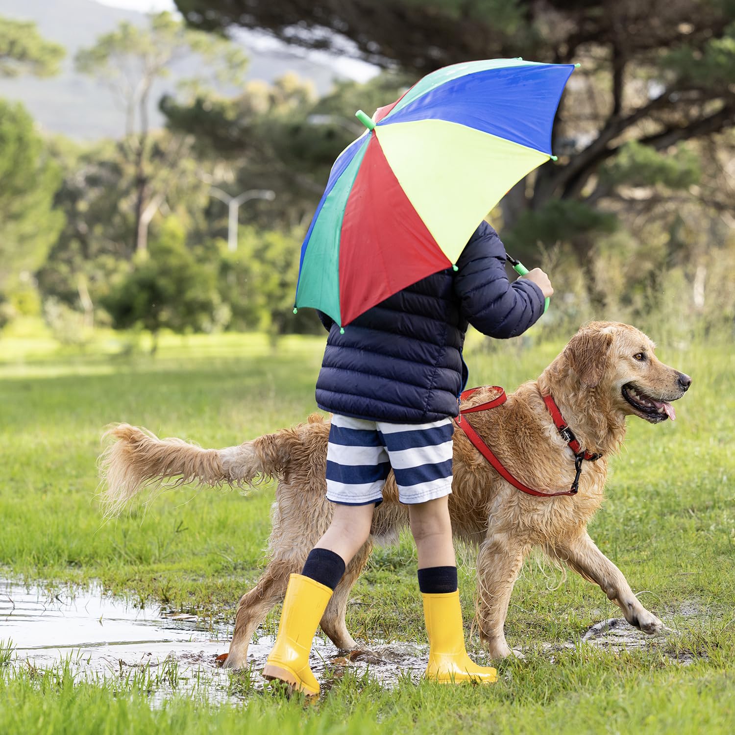 View 5