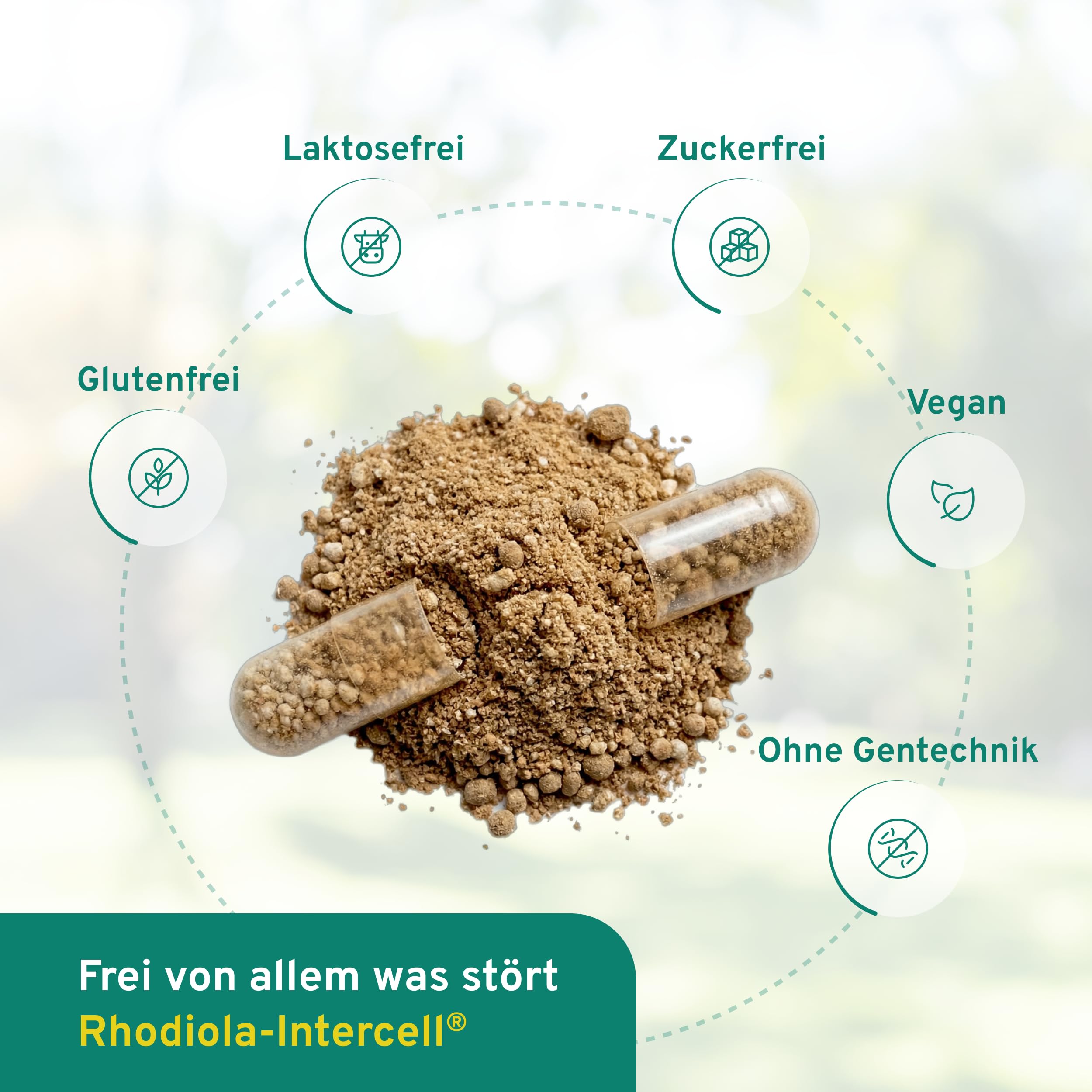 Rhodiola Intercell mit B-Vitaminen für das Nervensystem und Verringerung von Müdigkeit & Erschöpfung (60 Kapseln) - Rosea Extrakt mit Magnesium hochdosiert, Vitamin B1, B6, B12 & Vitamin D3