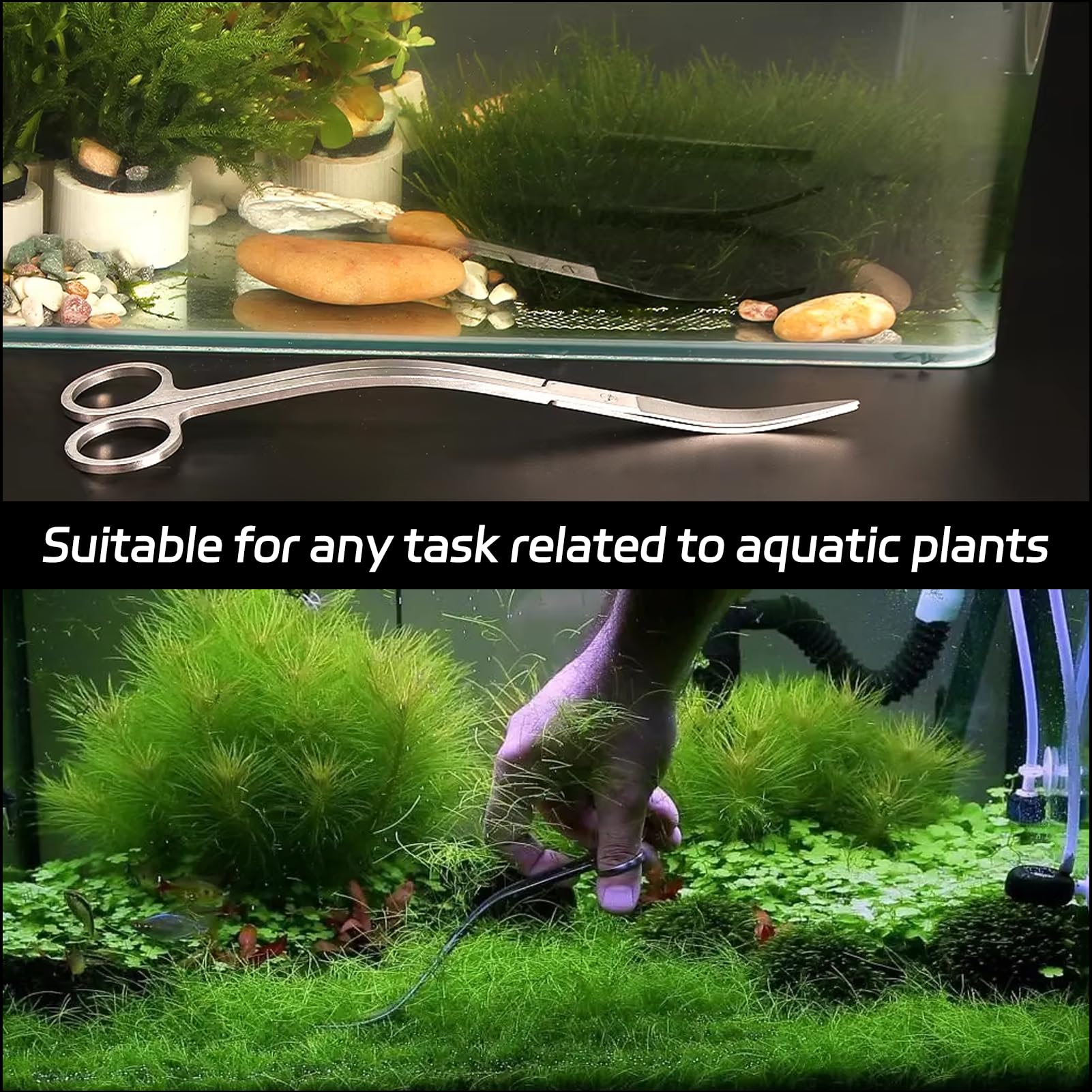 Forbici Da Acquario Curve In Acciaio Inossidabile,Forbici per Piante D'Acquario 25 Cm,Aquascaping,Strumento Acquario,Forbici Per Onde,Forbici Da Acquario Curve,Set Di Aquascaping