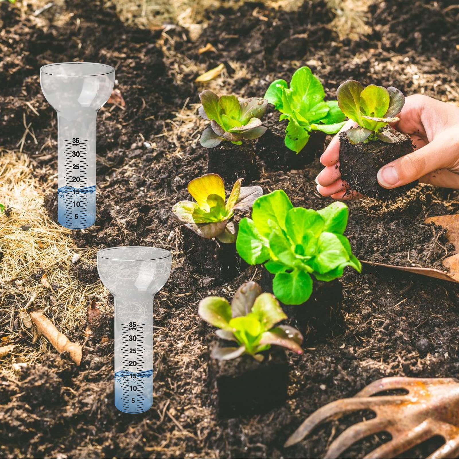 BAIFULAI 2 pluviometro antigelo, vetro di ricambio per misurazioni da 1 a 35 mm, pluviometro in vetro, Rain Gauge, a forma di imbuto per la visualizzazione dell'acqua da giardino all'aperto per la