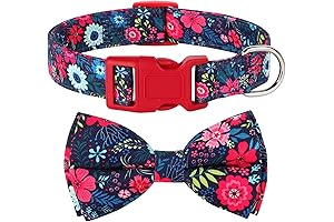 Didog Bow Tie Dog Collar for Girl with Red Floral Print