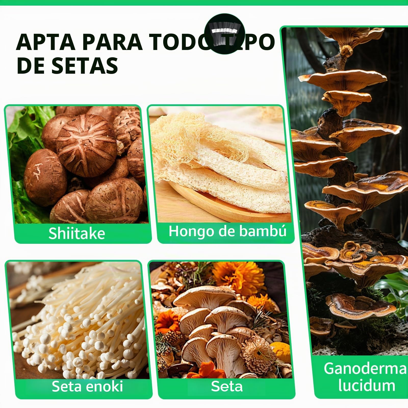 SWAWIS 50 bolsas de cultivo de hongos, 25 x 50 cm, bolsas resistentes a la rotura con filtro de seta, juego para cultivar setas