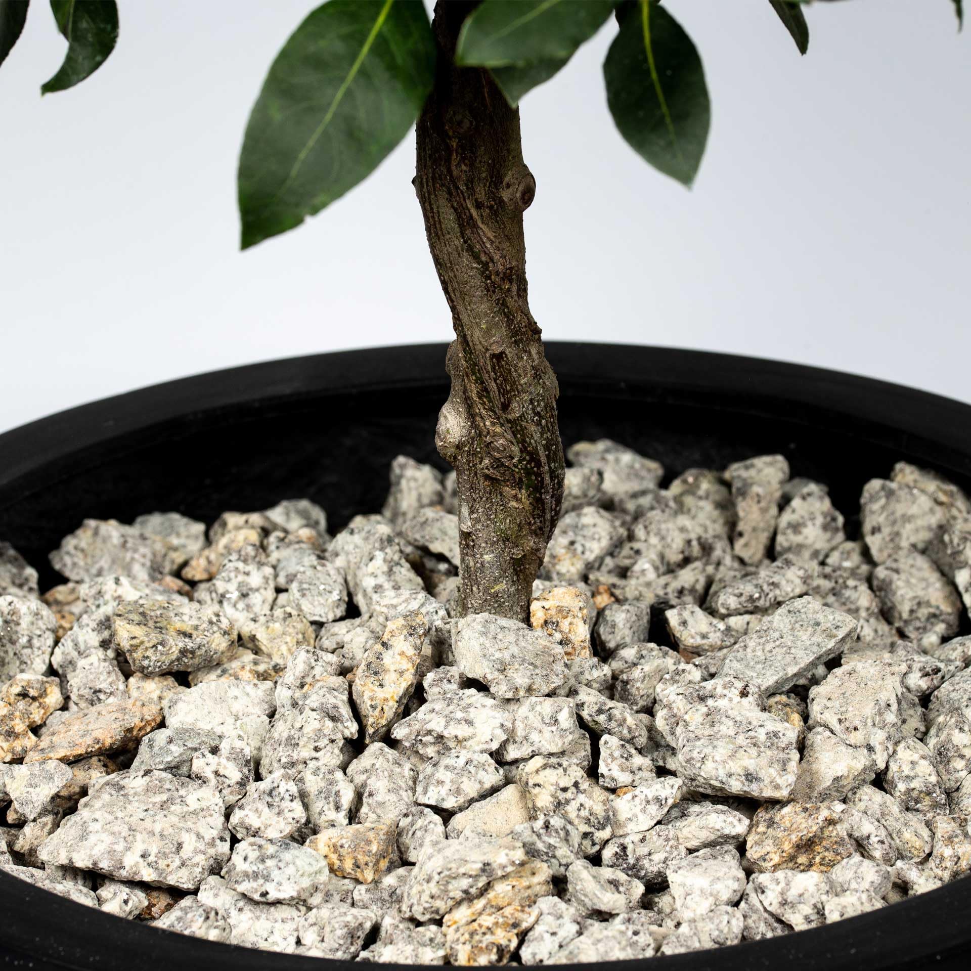 Schicker Mineral Granit Ziersplitt gelb-grau 25 kg, ideal zur Gartengestaltung, bunter Granit Naturstein, Splitt, robust, witterungsbeständig, Steingarten, Weg- und Terrassengestaltung (16-32 mm)