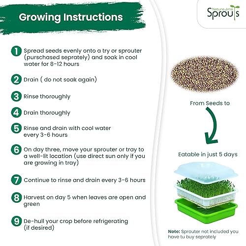 Miniatura 4 de Nature Jims Sprout/Sprouting Seeds, trébol, bolsa resellable orgánica sin OMG prémium para una frescura más larga, rica en vitaminas, minerales,