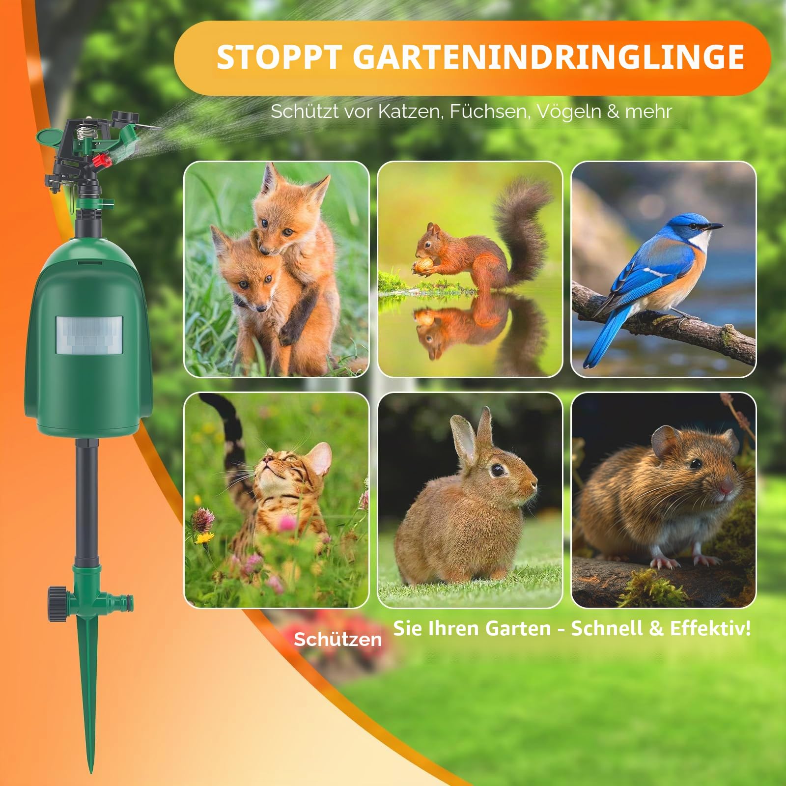 360 ° Tierfreundlicher Katzenschreck mit Wasserstrahl –, PIR-Sensor bis 10m, 360° Abschreckbar für Katzen, Marder, Vögel & Waschbären – Humaner Tiervertreiber für Garten & Teich