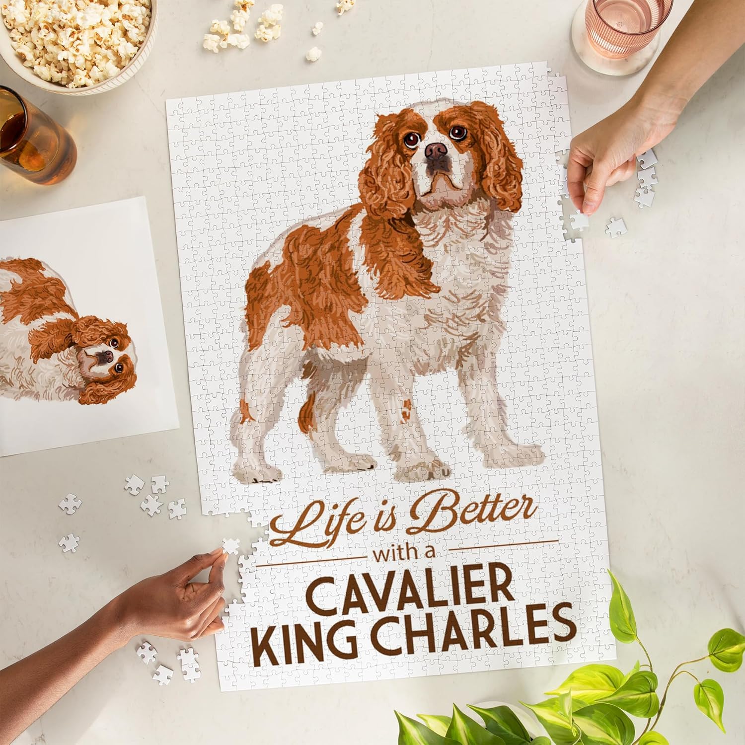 Lantern Press Cavalier King Charles, Life is Better 1000 Piece Jigsaw Puzzle for Adults, Made in USA with Reference Poster