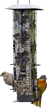 Perky-Pet松鼠防护鸟 feeders