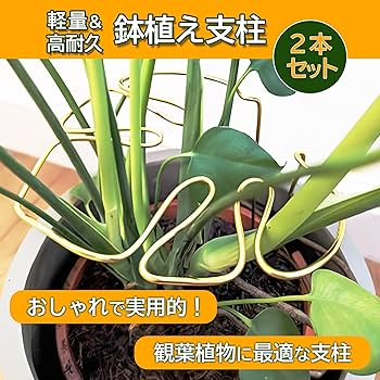 モンステラ 鉄スタンド 黒 モンステラ 鉄スタンド 黒