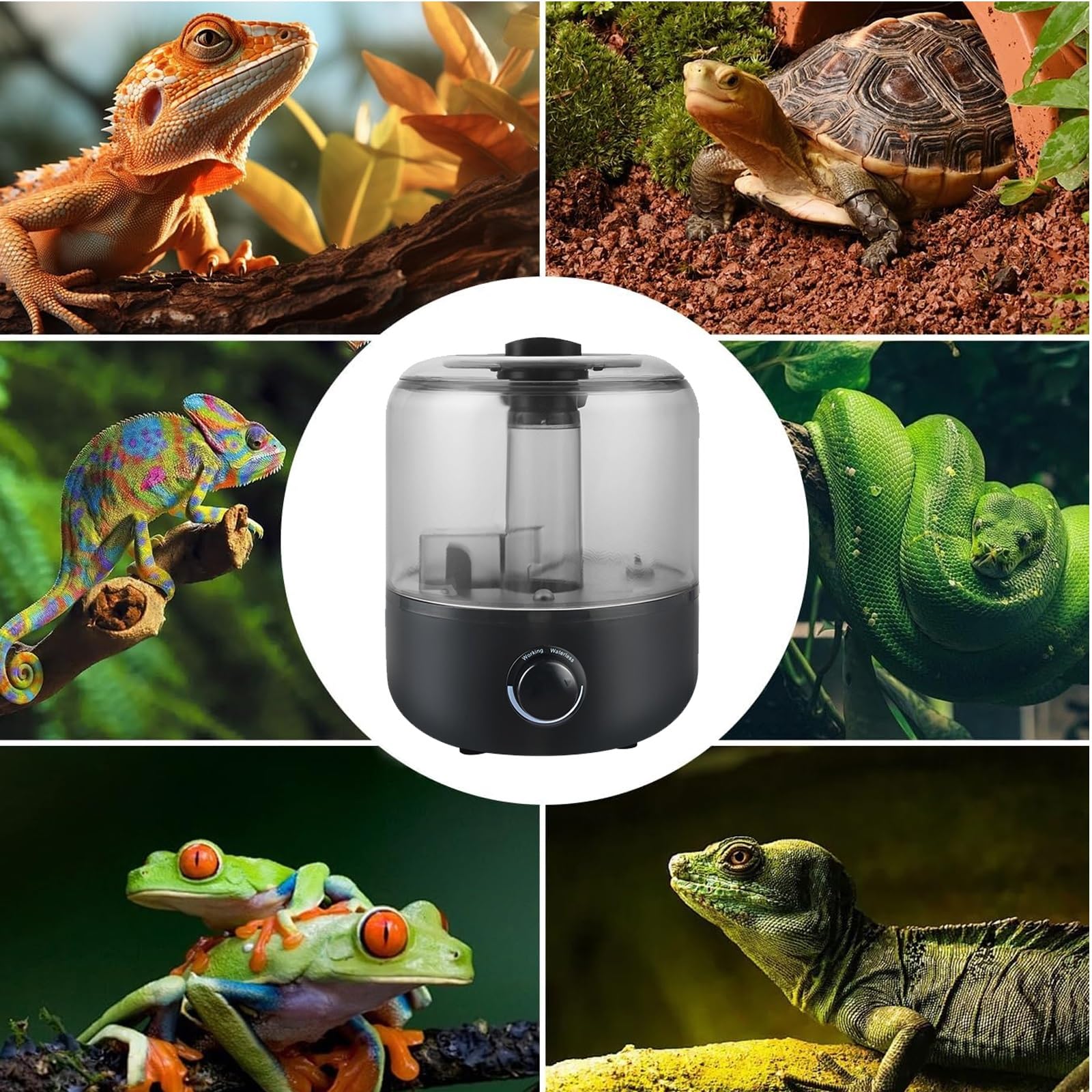 Humidificador Nebulizador para Reptiles, 3L, Tanque Visible, para Terrarios de Reptiles y Anfibios, con Boquilla de Manguera(Size-1)