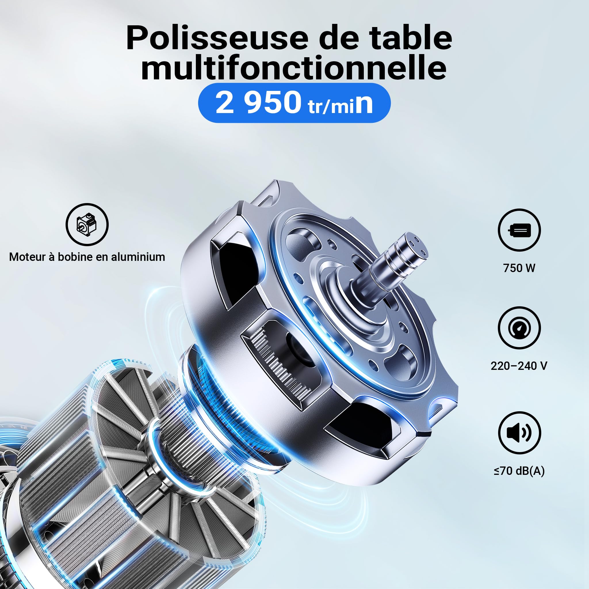Machine à polir 750W avec deux disques de polissage Ø200mm Polisseuse double Boîtier robuste Base