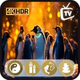 Penguin's Winter Haven TV - Paisajes nevados con reloj y el clima