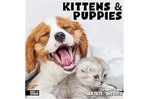 RED EMBER Kittens and Puppies 2024 Wall Calendar
