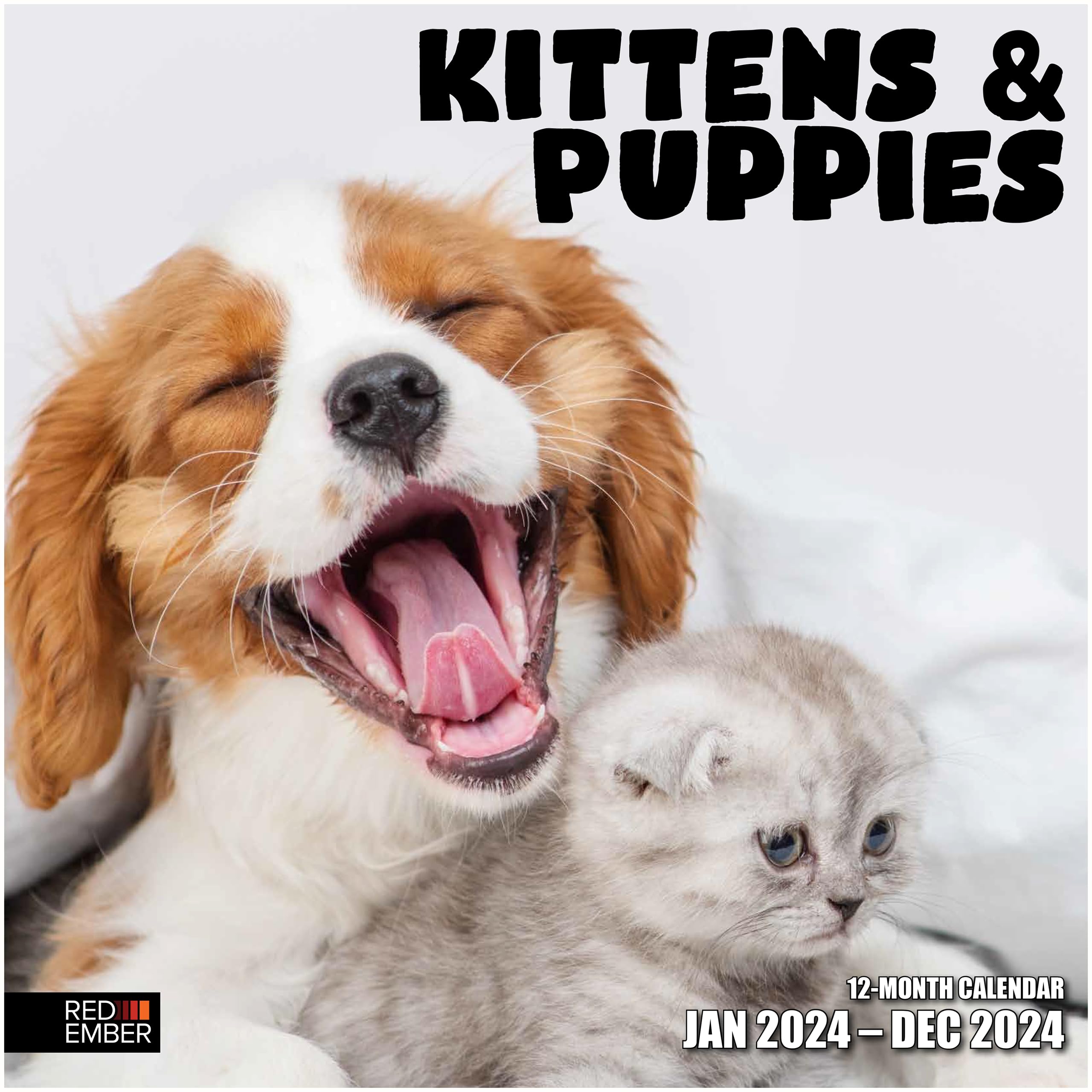 RED EMBER Kittens and Puppies 2024 Hangable Monthly Wall Calendar | 12" x 24" Open | Thick & Sturdy Paper | Kids Teen Dog Cat Cute Baby Animals | Heartwarming Fur Babies