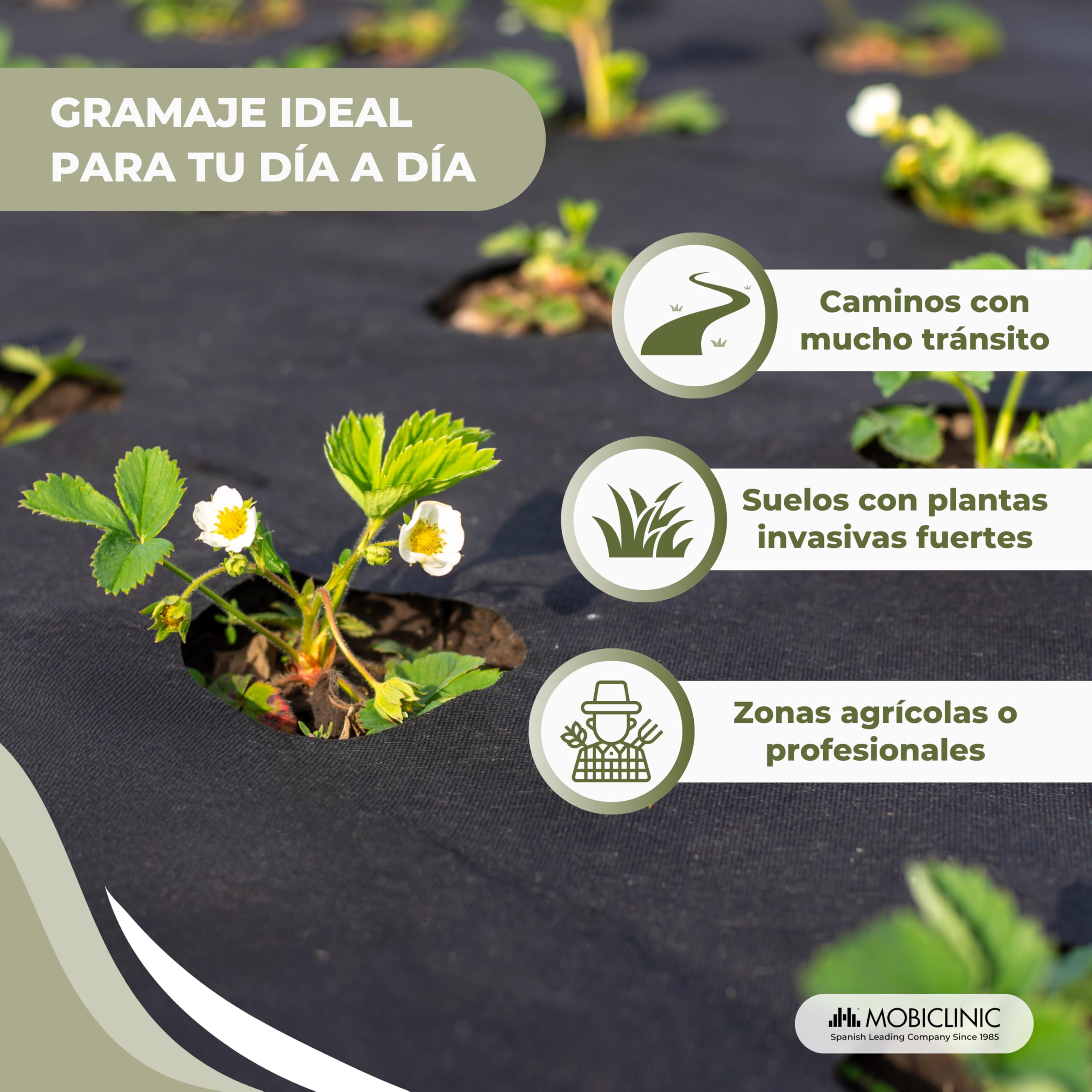 Mobiclinic®, Malla Antihierbas, 150 g/m² Alto Gramaje, 1x50 m, Geotextil, Resistente a Rayos UV y Desgarros, Malla Antimaleza, Permeable al Agua, Transpirable, Jardín e Invernadero, HerbStop