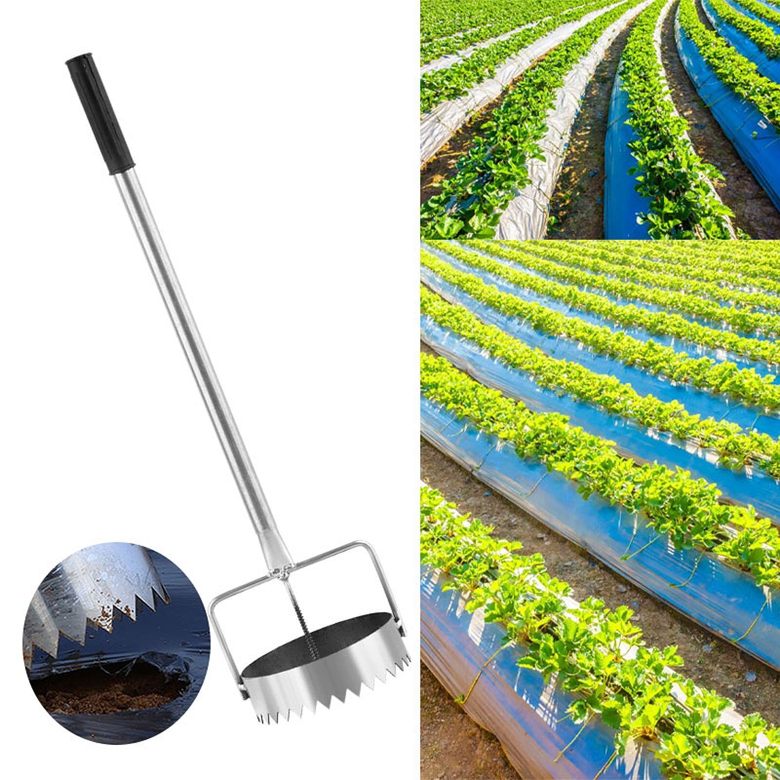 Lampade - Pianta - Tappo Attrezzi Multifunzionali per Piantare in Acciaio Inossidabile Scava Buche per Giardino Fattoria Serra Prato, 13.5 Cm di Diametro