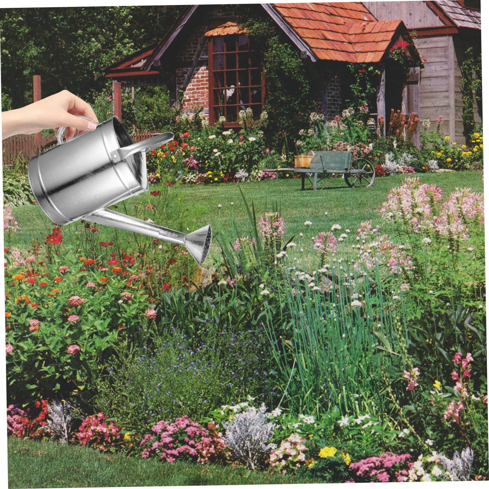 Regadera de Hierro Resistente de 5 litros para Jardín y Plantas, Boquilla Rociadora Ergonómica, Maceta de Riego para Suculentas y Plantas de Interior y Exterior Varios Estilos