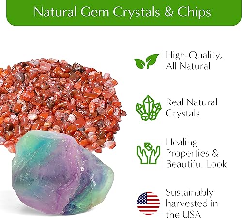 Miniatura 4 de Kit de terrario pequeño de alta calidad para suculentas, cactus y plantas de aire, incluye tierra, musgo, guijarros, herramientas, gema de amatista