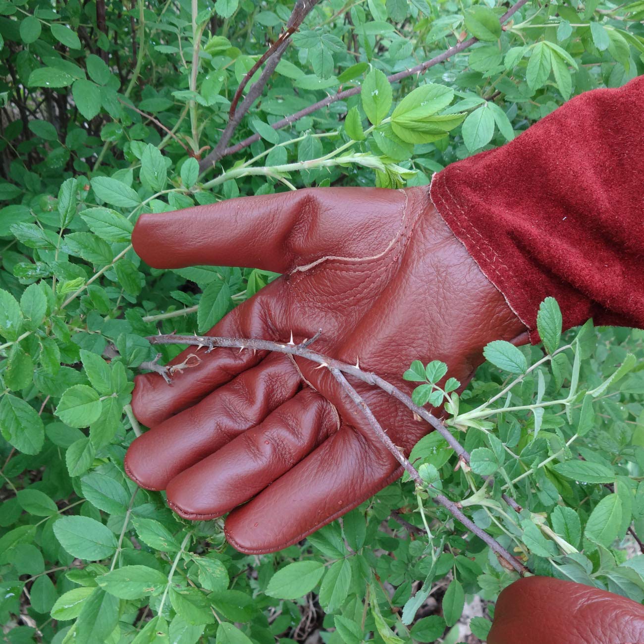 Gartenhandschuhe aus Leder für Damen und Herren | dorn- und schnittfeste Gartenarbeitshandschuhe mit langer robuster Stulpe | geeignet für Dornsträucher Kakteen Rose, braun, Small