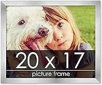 Vista 211 de Marco de 28 x 36 pulgadas de madera de peltre plateado con plexiglás acrílico UV, parte trasera de tablero de espuma y accesorios incluidos