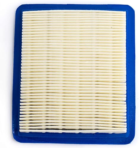 Miniatura 2 de Craftsman CMXGZAM200051 AIR Legacy Walk 491588s Filtro, color negro