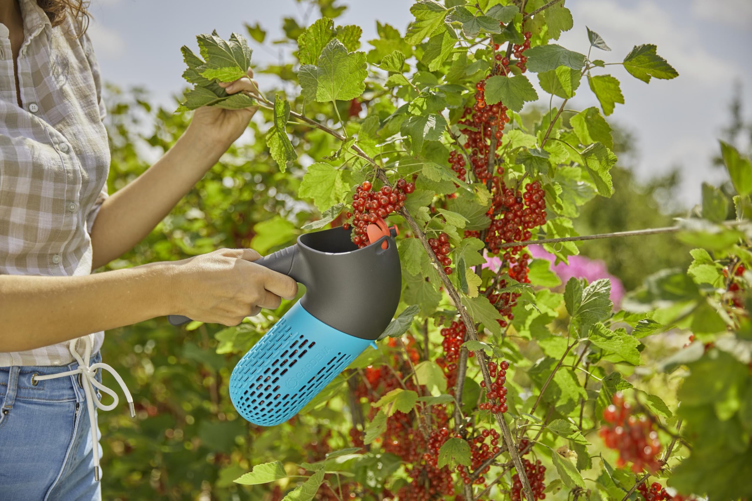 Gardena Raccogli-frutti di bosco combisystem: ausilio per il raccolto con cesto integrato, accessorio girevole per frutti di bosco o frutta, impugnatura integrata, piedini da appoggio (17400-20)