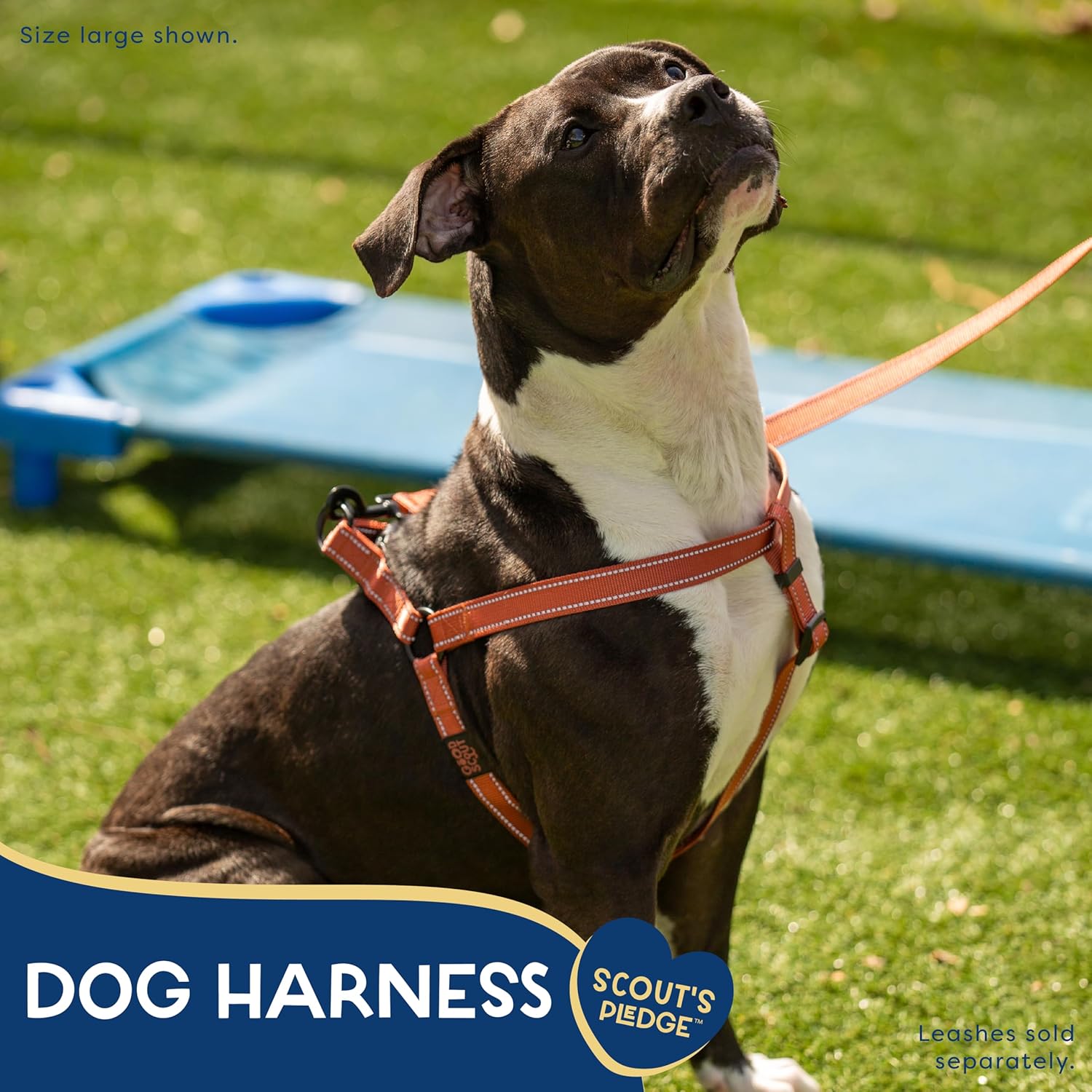 Good Scout Dog Harness Small Sized Dog, Heavy Duty Durable Dog Body Harness for Easy Walking & Training, Adjustable for Comfortable & Safe Fit, Double D-Ring for Quick Leash Attachment, Brick