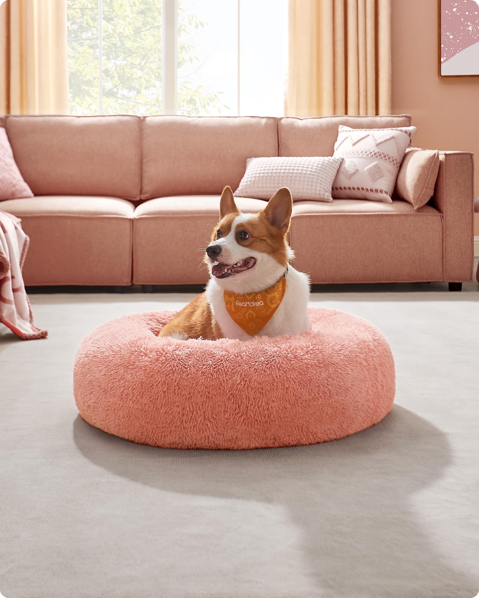 Feandrea Cuccia Cane Interno, Cuccia per Cani, Lettino per Animali Domestici a Ciambella, Cuscino Sfoderabile e Lavabile, Tappeto di Peluche, Diametro 80 cm, Rosa PGW040R01
