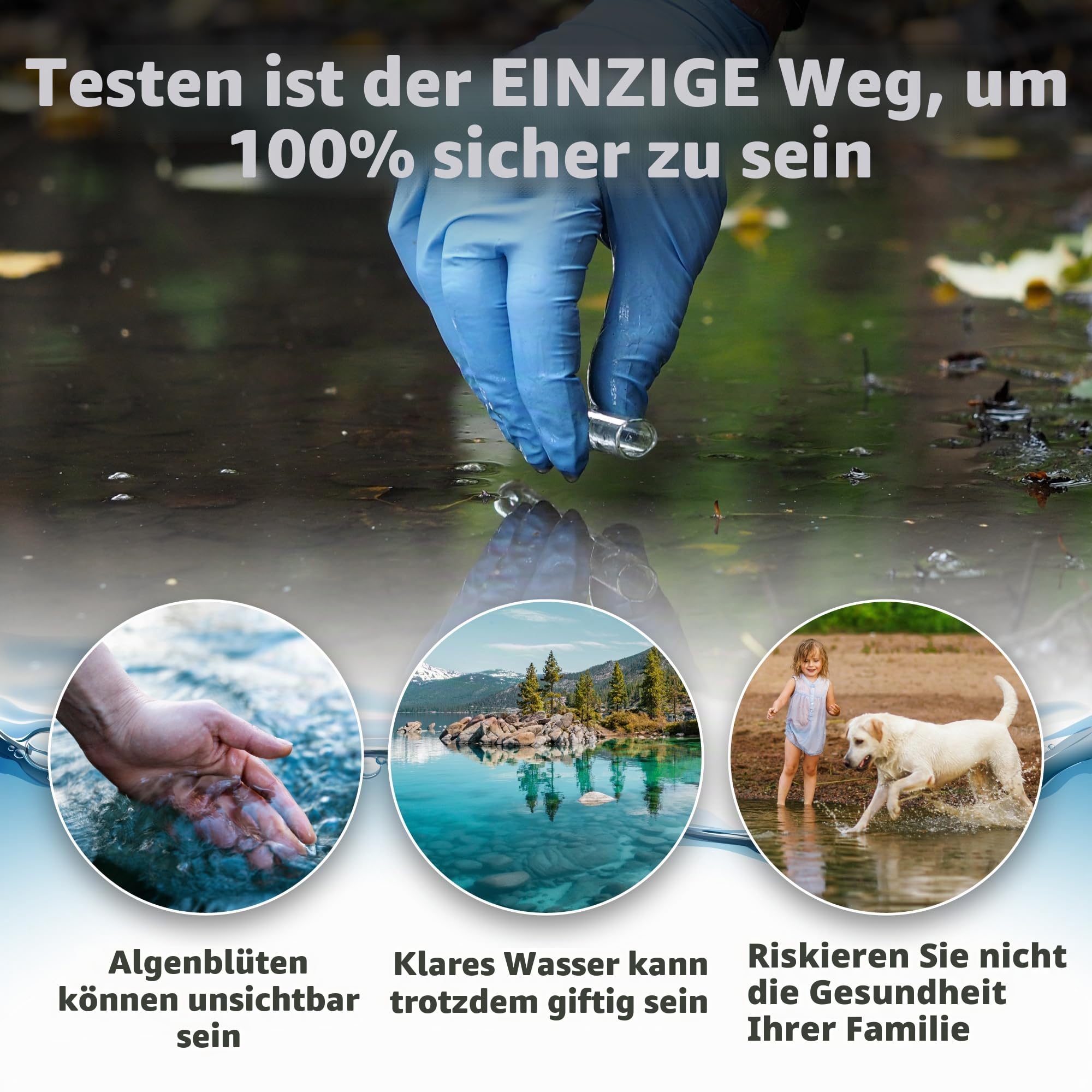 5Strands Blau-Grünalgen-Test für Seeteich Wasserprobe zu Hause, Ergebnisse in 15 Minuten