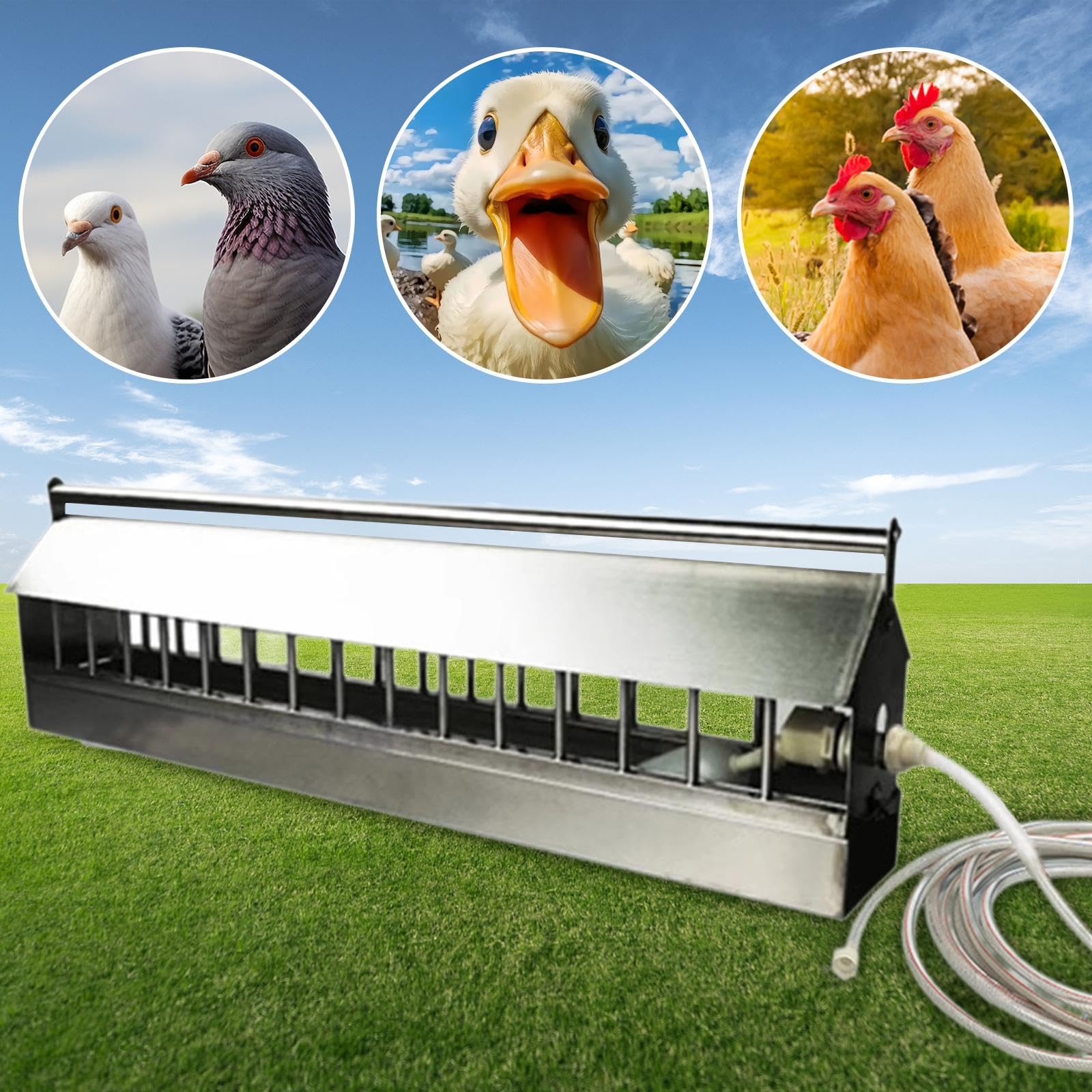 Automático para Aves de Corral con 2 Depósitos, Dispensador Automático de Agua para, Faisanes, Gansos Y Palomas, 100cm