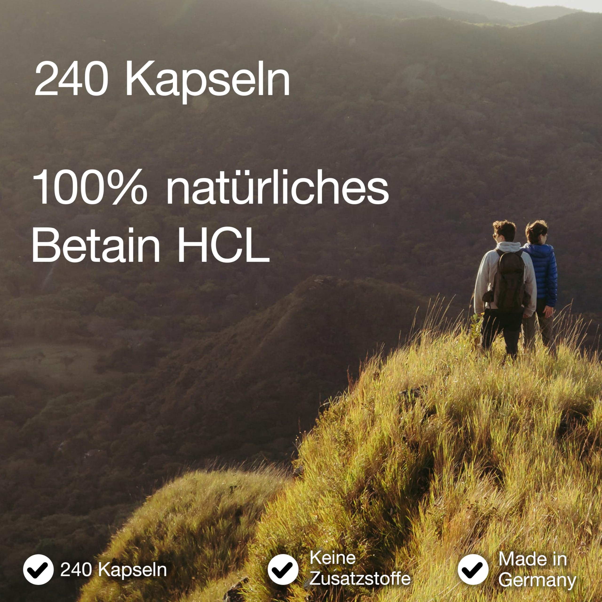 Betain HCL 650 mg - 240 Kapseln - Hochdosiert - in Deutschland produziert & Laborgeprüft - Vegan - Betaine HCL