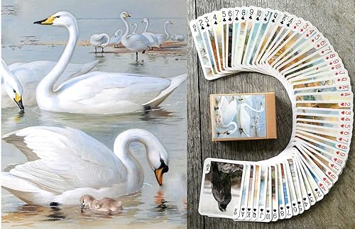 Increíbles aves salvajes naipes (baraja de póquer 54 cartas todas diferentes) Pintura del museo de aves salvajes de oración por Archibald Thorburn