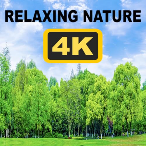 Four Seasons Ambience: Relaxing Nature